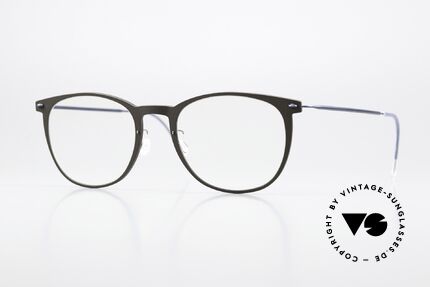 Lindberg 6529 NOW Braungrau Und Dunkelblau Details